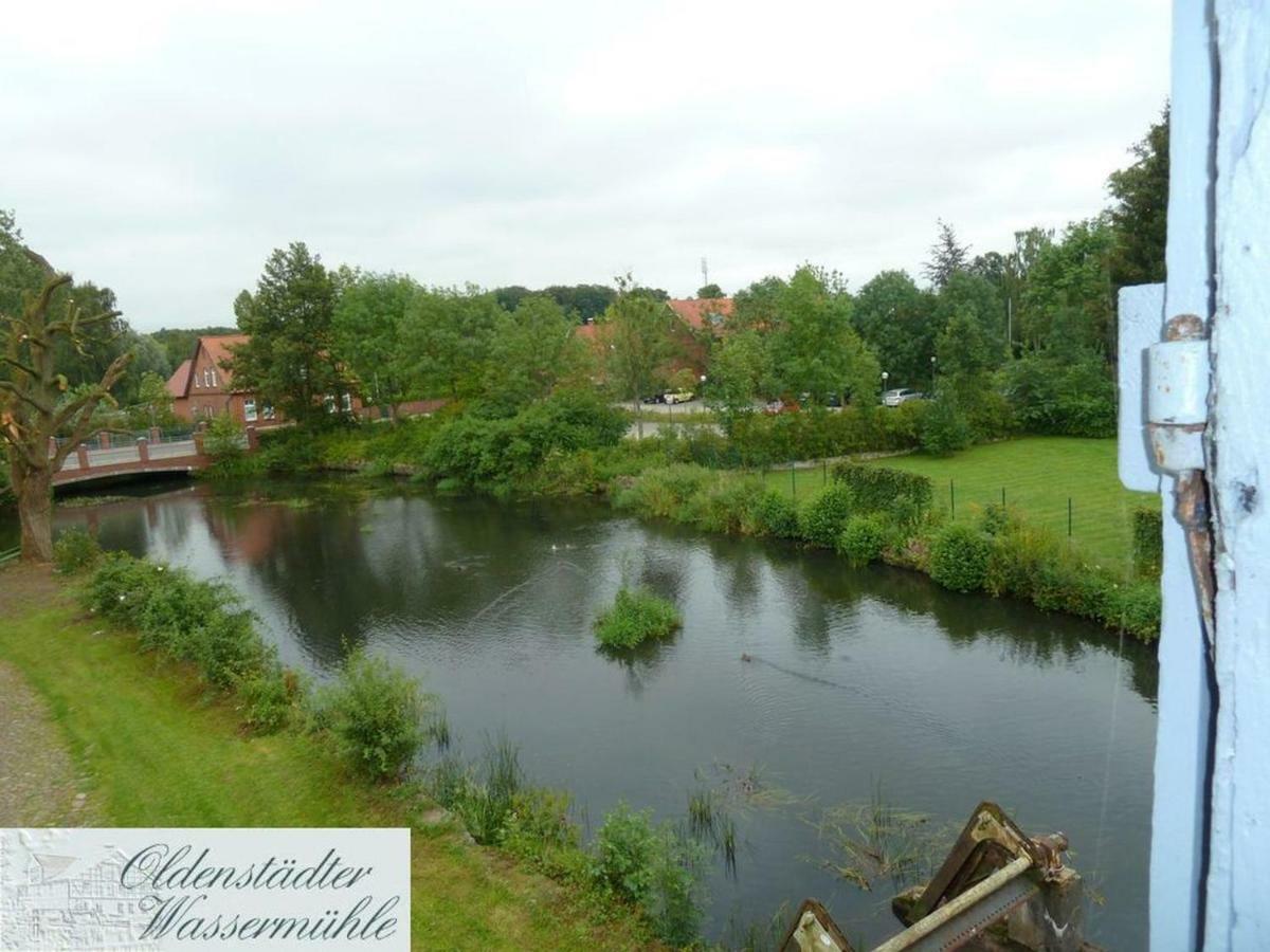 Muehlenteich In Der Oldenstaedter Wassermuehle *