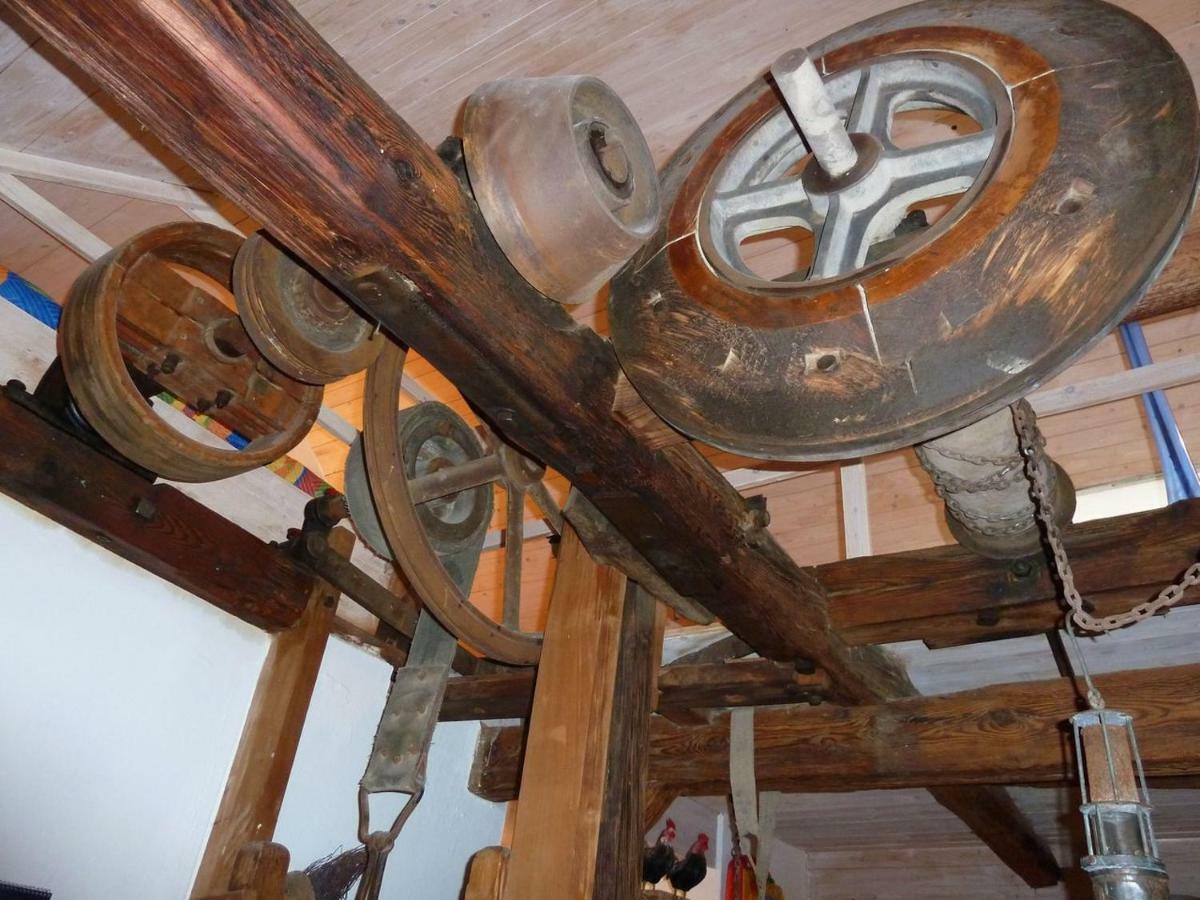 Muehlenteich In Der Oldenstaedter Wassermuehle