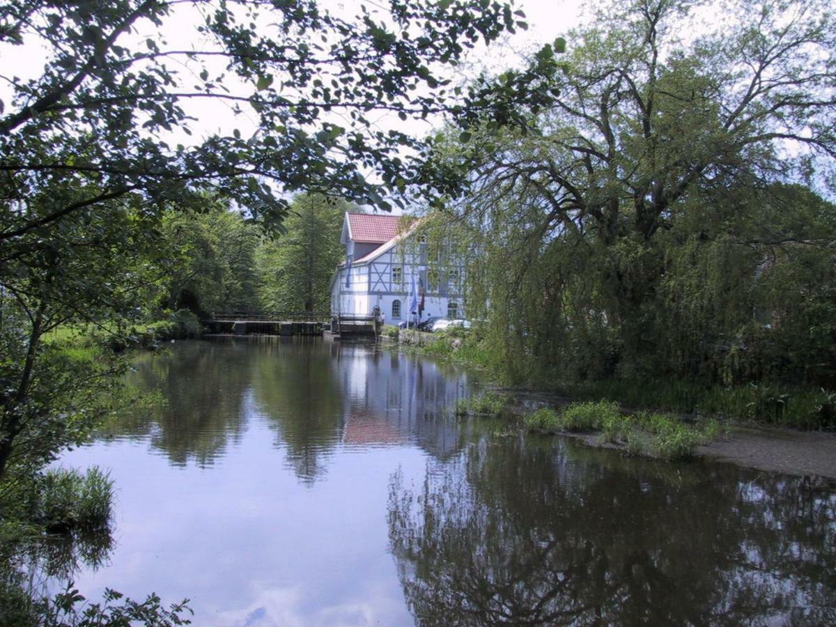 Muehlenteich In Der Oldenstaedter Wassermuehle *